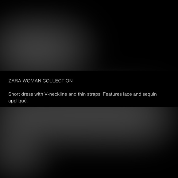 ZARA ZW COLLECTION LIMITED EDITION LACE SEQUIN DRESS - Picture 13 of 14